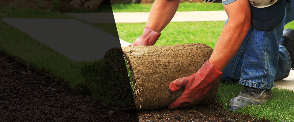 Yaphank Landscapers